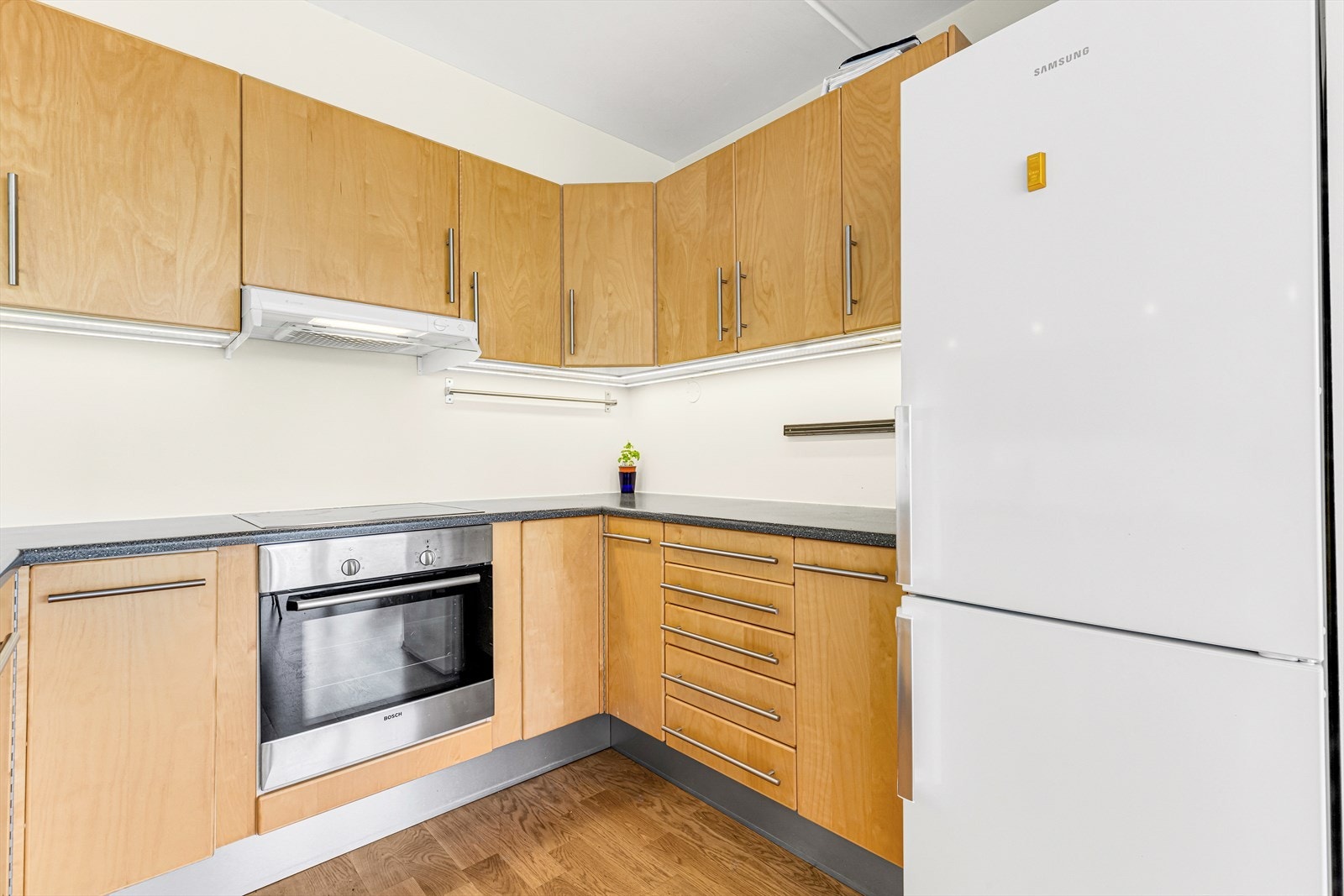 Hvitevarer består av integrert komfyr og frittstående kjøleskap med fryserdel. Det er opplegg for oppvaskmaskin. Galleribilde