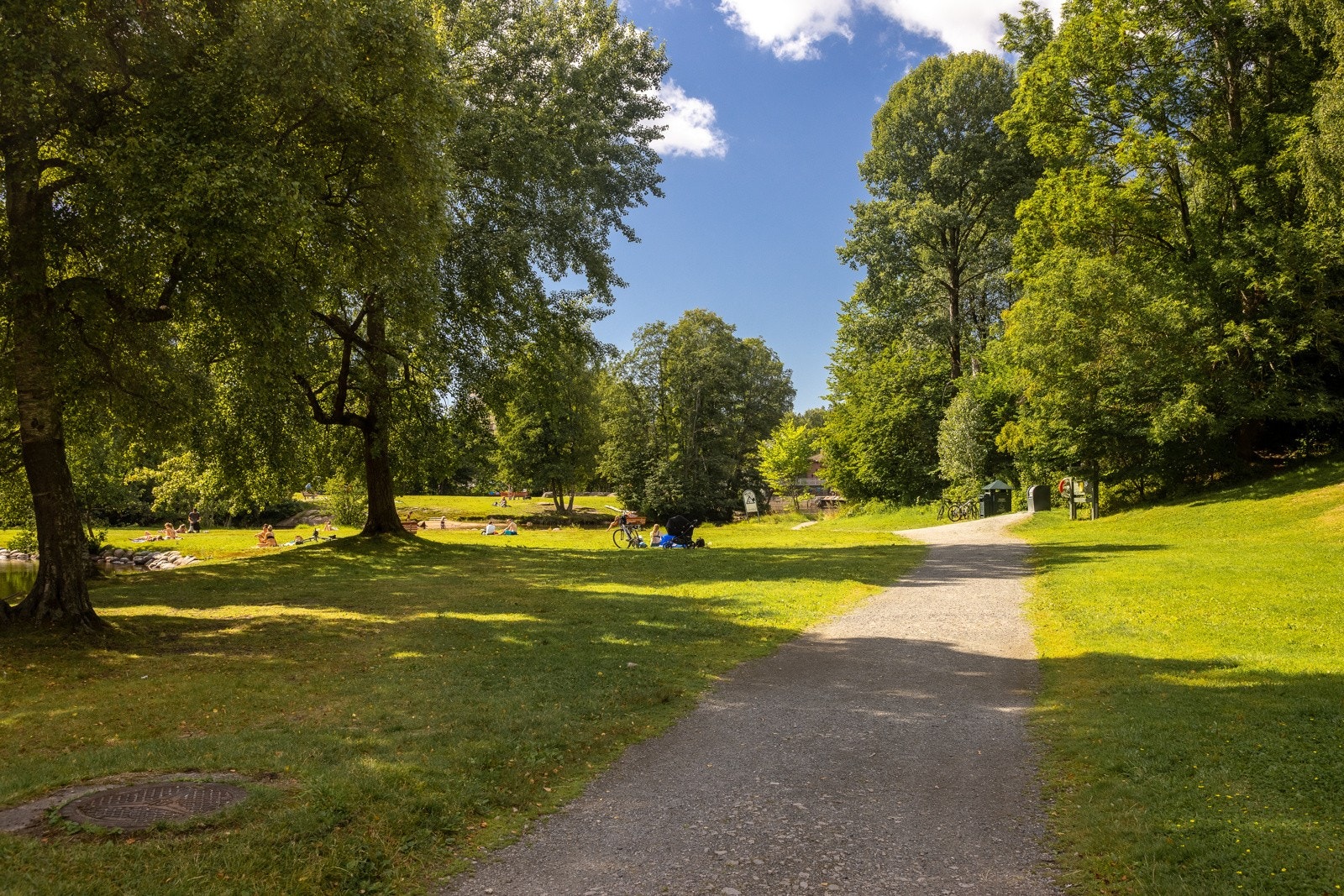 Nærområdet med fine tursti Galleribilde