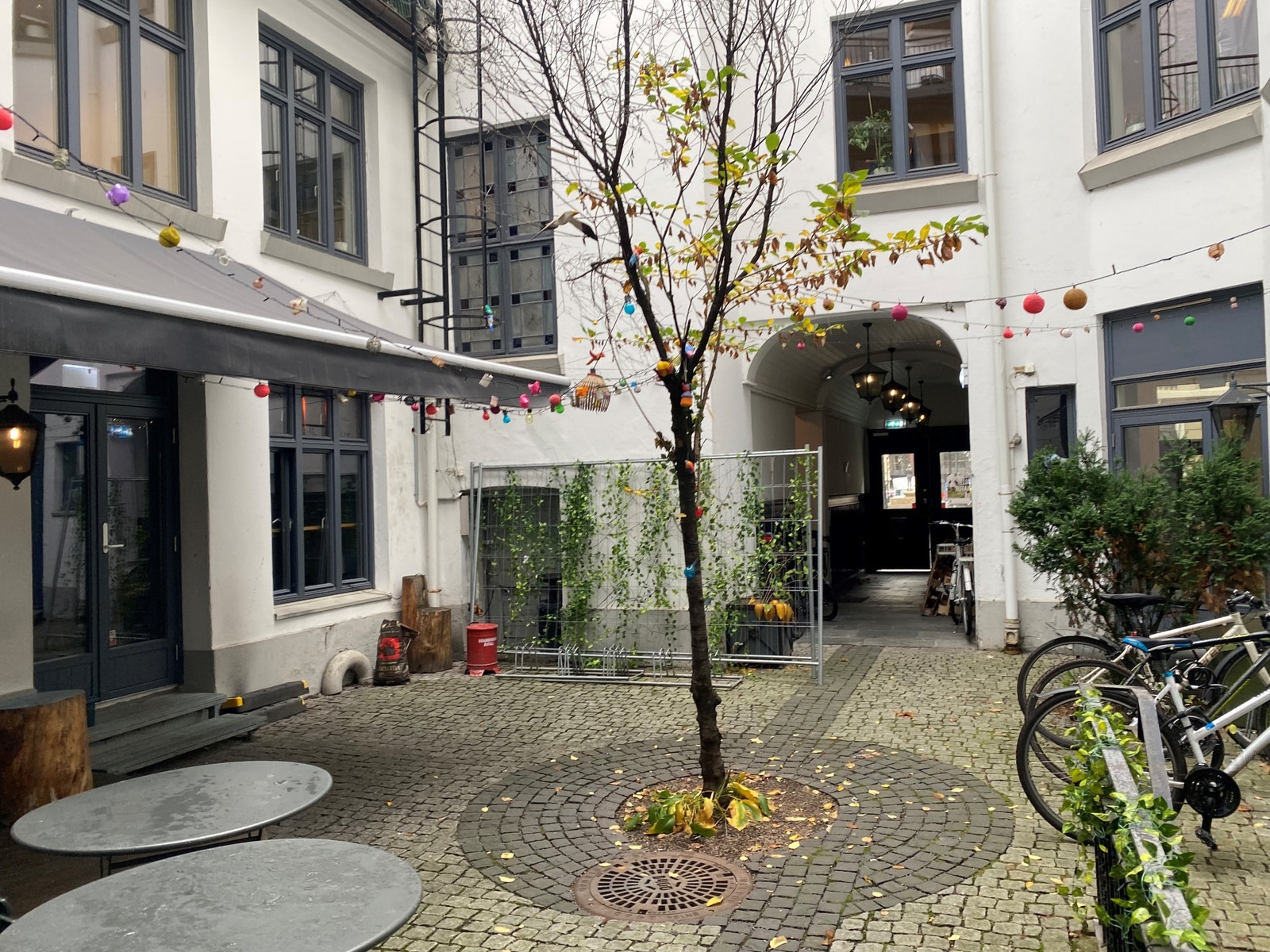Vinbaren disponerer gårdsrom på kveldstid Galleribilde