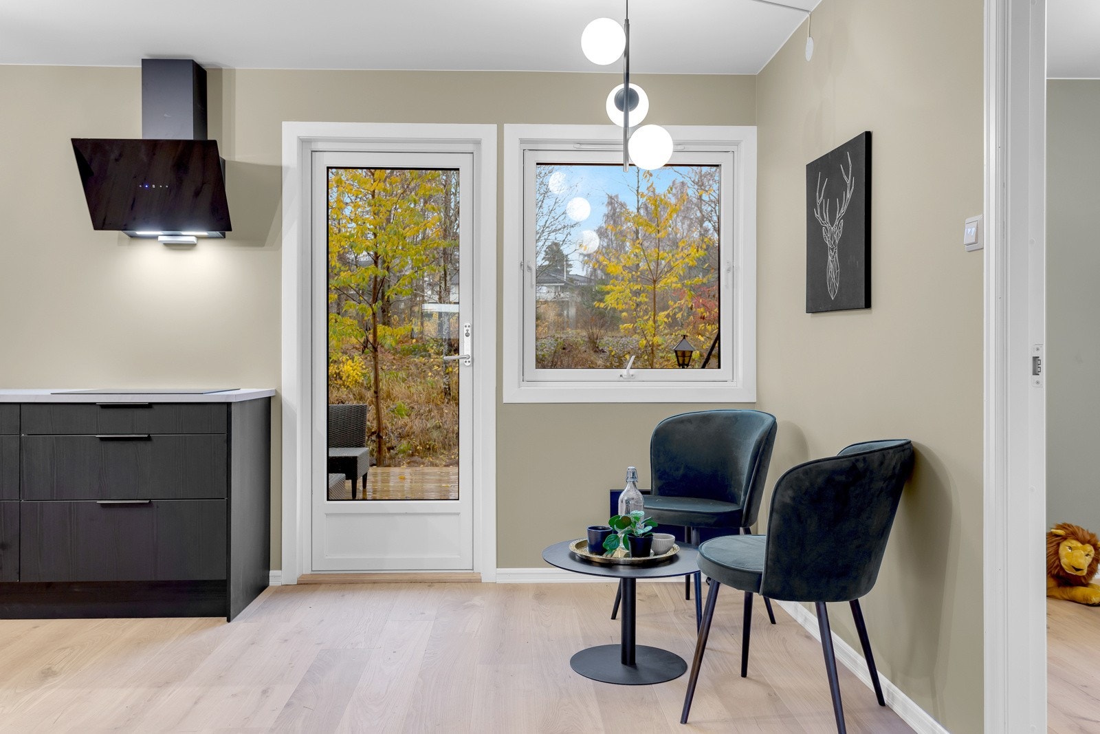 Herfra er det utgang til en stor markterrasse på 45 m². Galleribilde