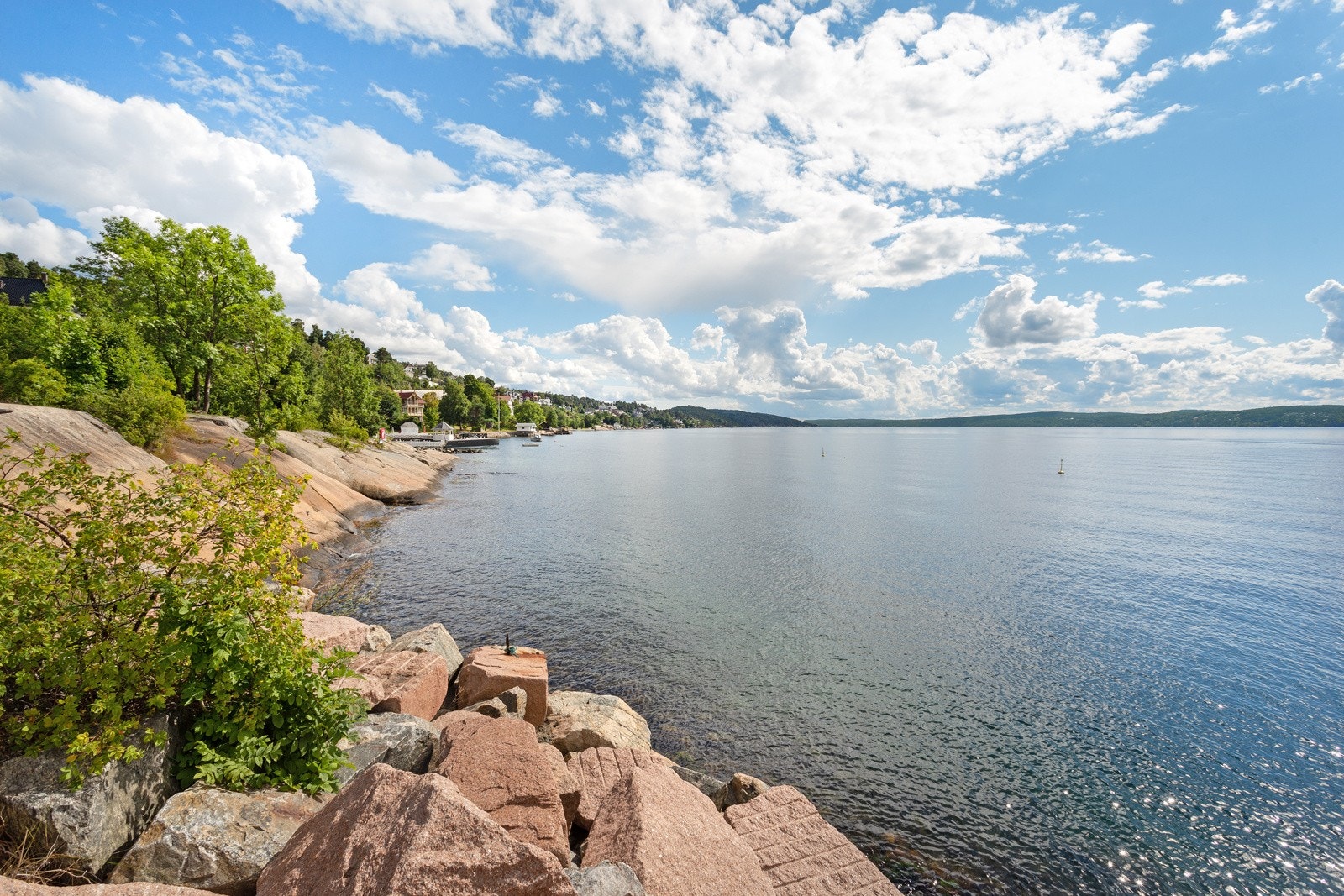 Nærområdet. Galleribilde