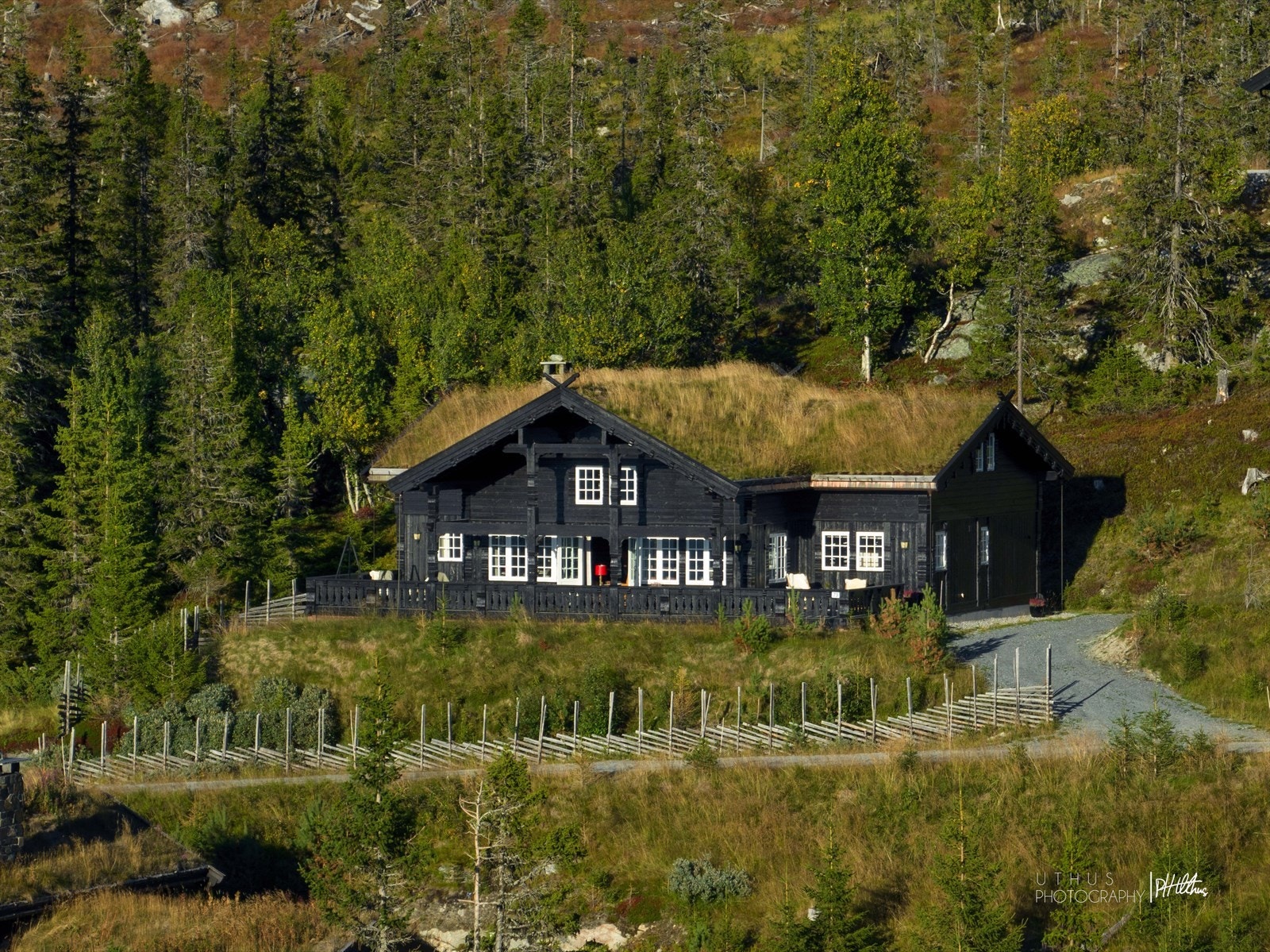 Stor tomt, delvis inngjerdet med skigard og pent opparbeidet rundt hytta. Galleribilde