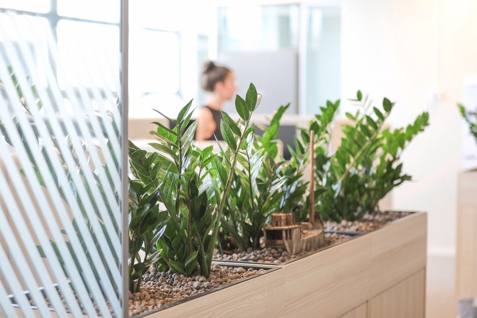 Grønn atmosfære i åpne landskap Galleribilde