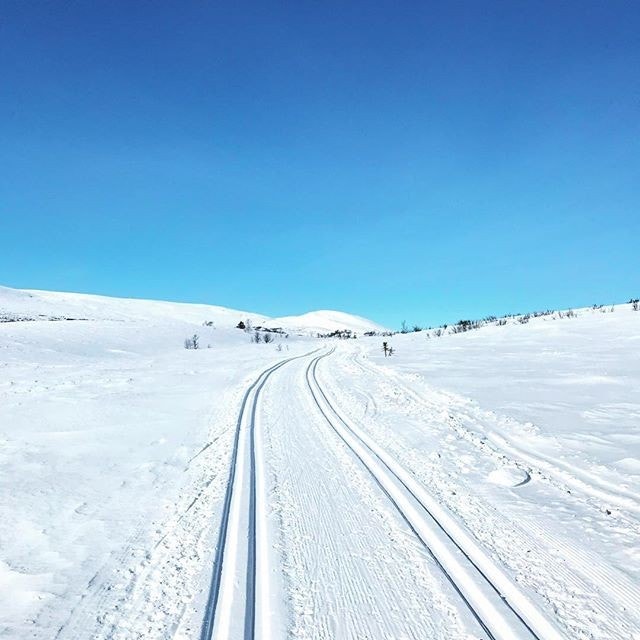 Sånne løyper ved hyttedøra. Galleribilde