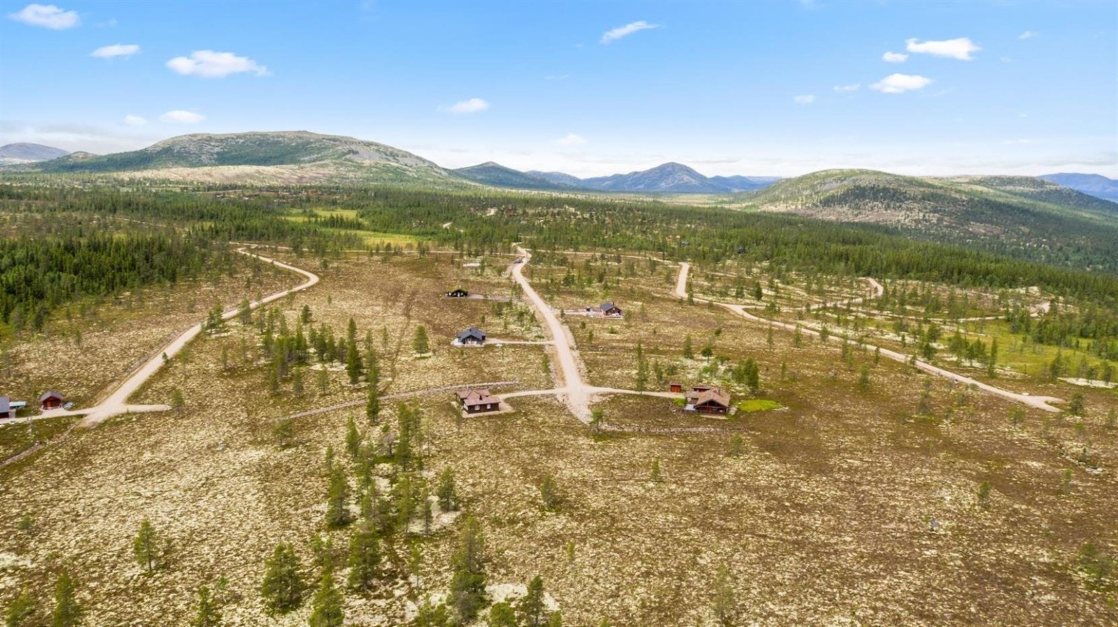 Fra feltet. Galleribilde