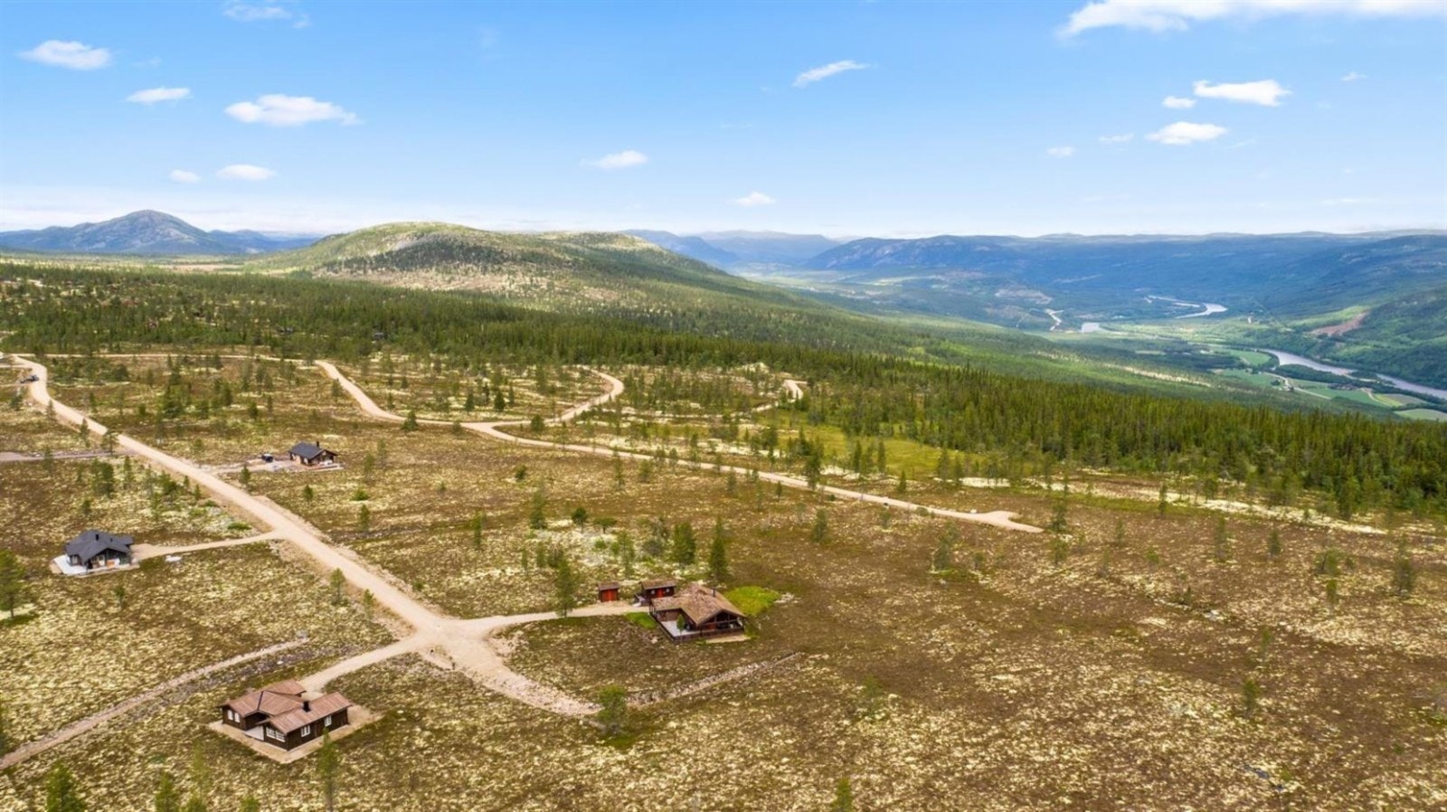 Fra feltet. Galleribilde