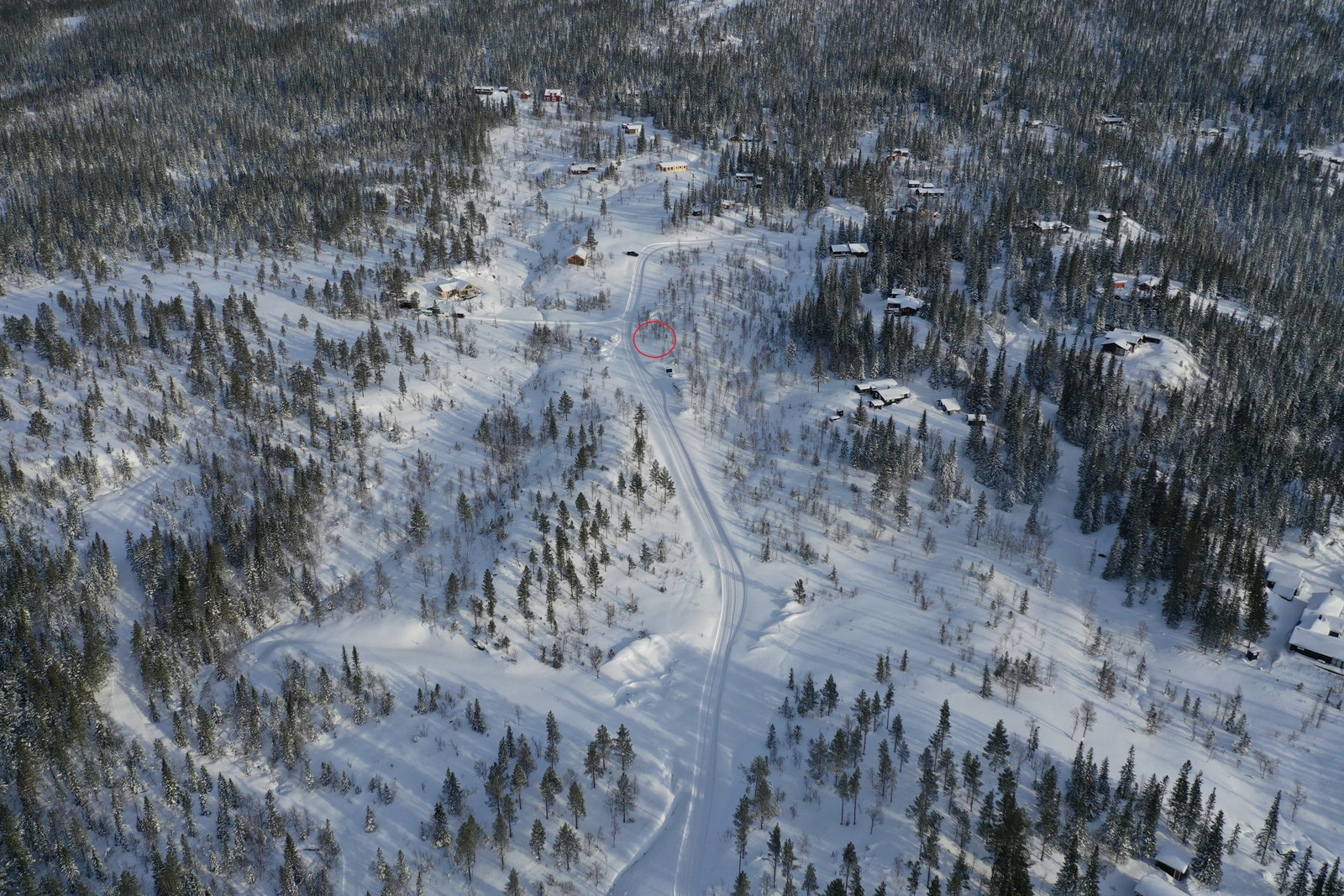 Bilde fra tomteområdet Galleribilde