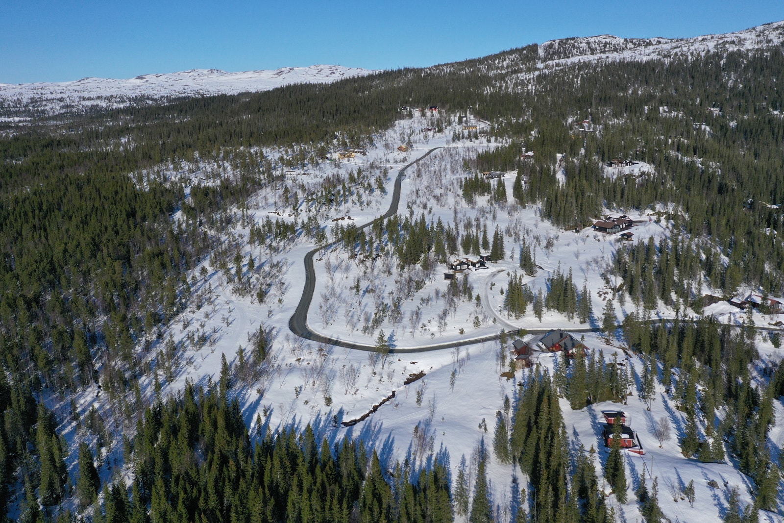 Bilde fra tomteområdet Galleribilde