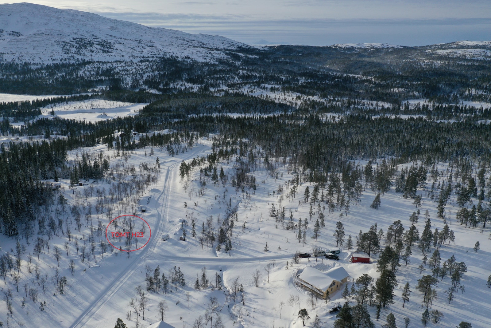 Bilde fra tomteområdet. Hyttefeltet ligger inntil skiløypenettet som går over grensa til Sverige og inn mot Meråker Galleribilde