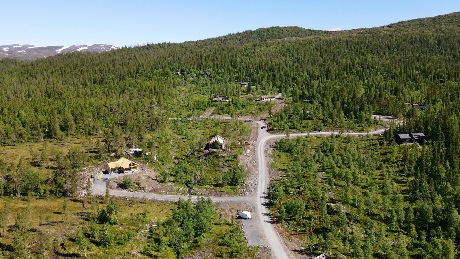 Bilde fra tomteområdet Galleribilde