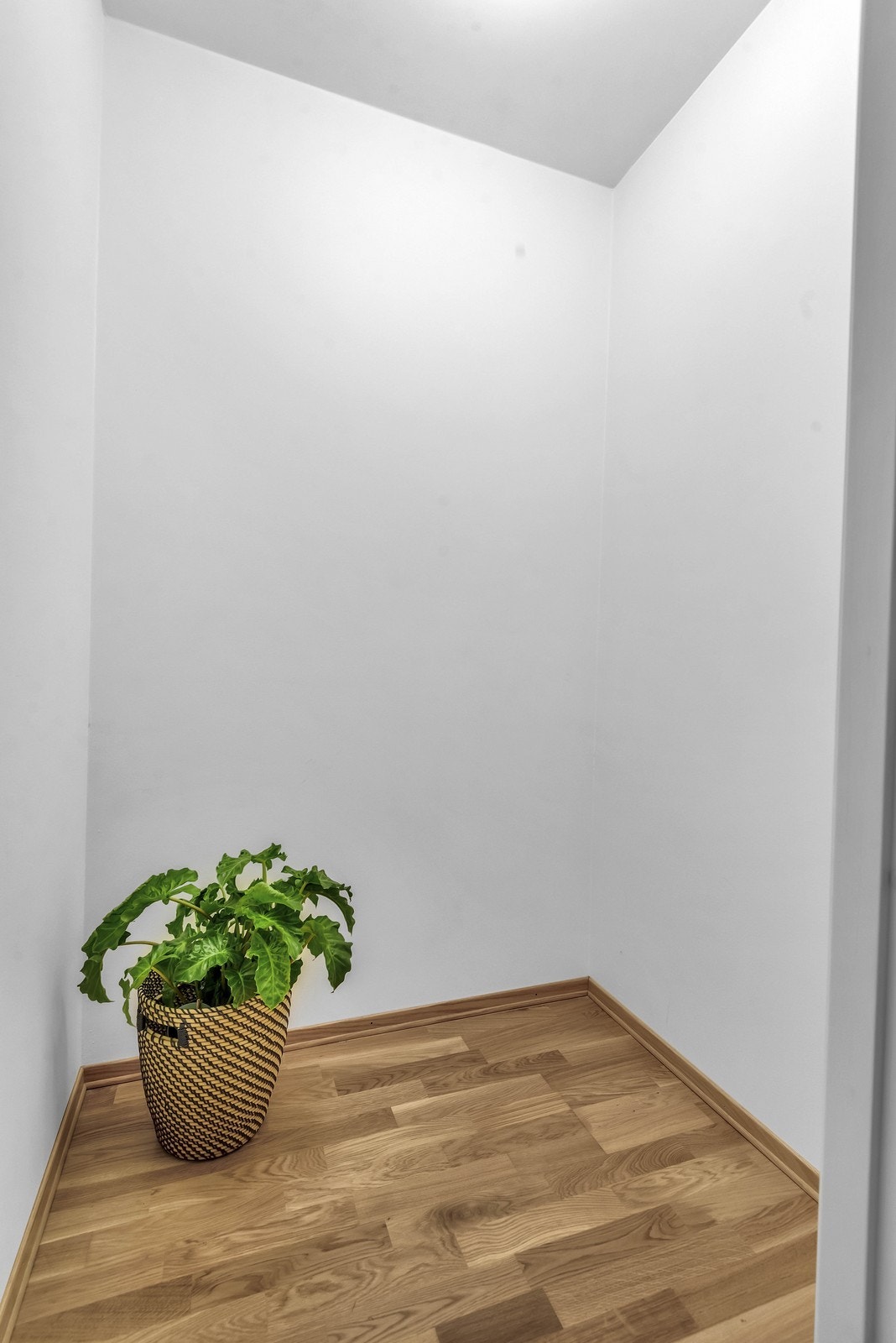 Innvendig bod Galleribilde