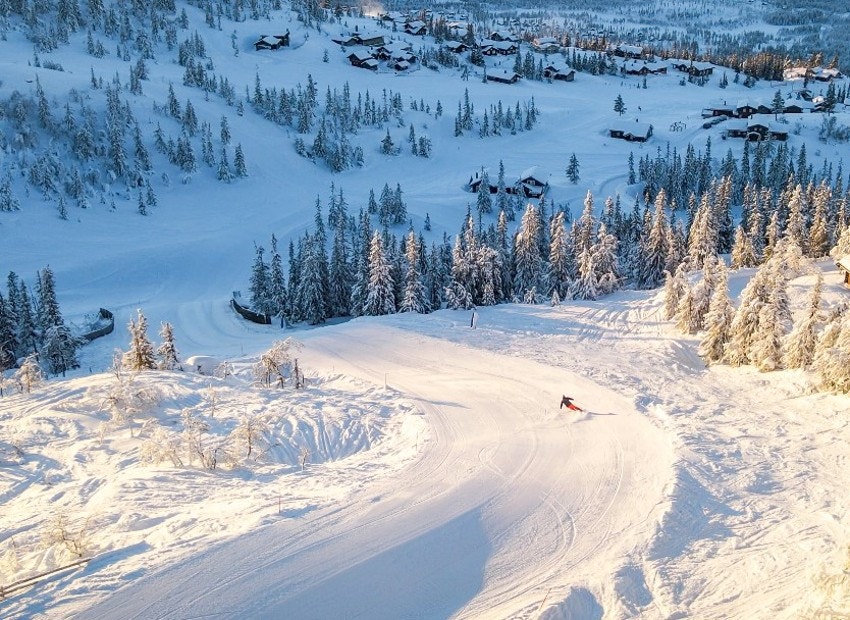 Nesfjellet alpin Galleribilde