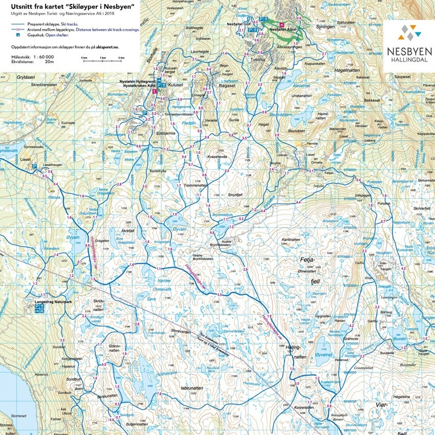 Skiløyper i Nesbyen. Galleribilde