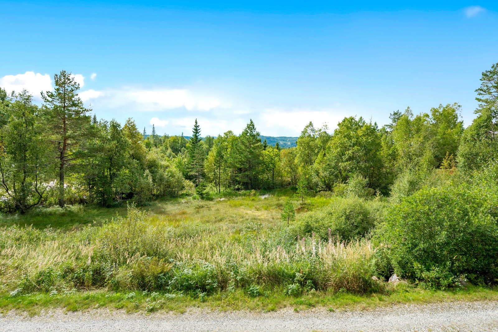 Utsikten fra verandaen Galleribilde