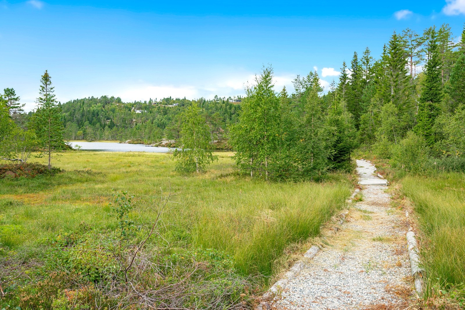 Sti fra veien inn til badeplassen Galleribilde