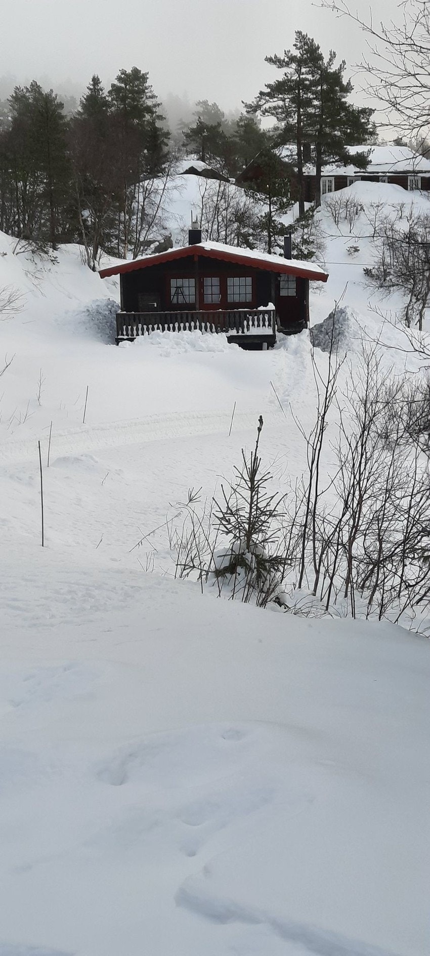 Vinterbilder tatt av selger Galleribilde