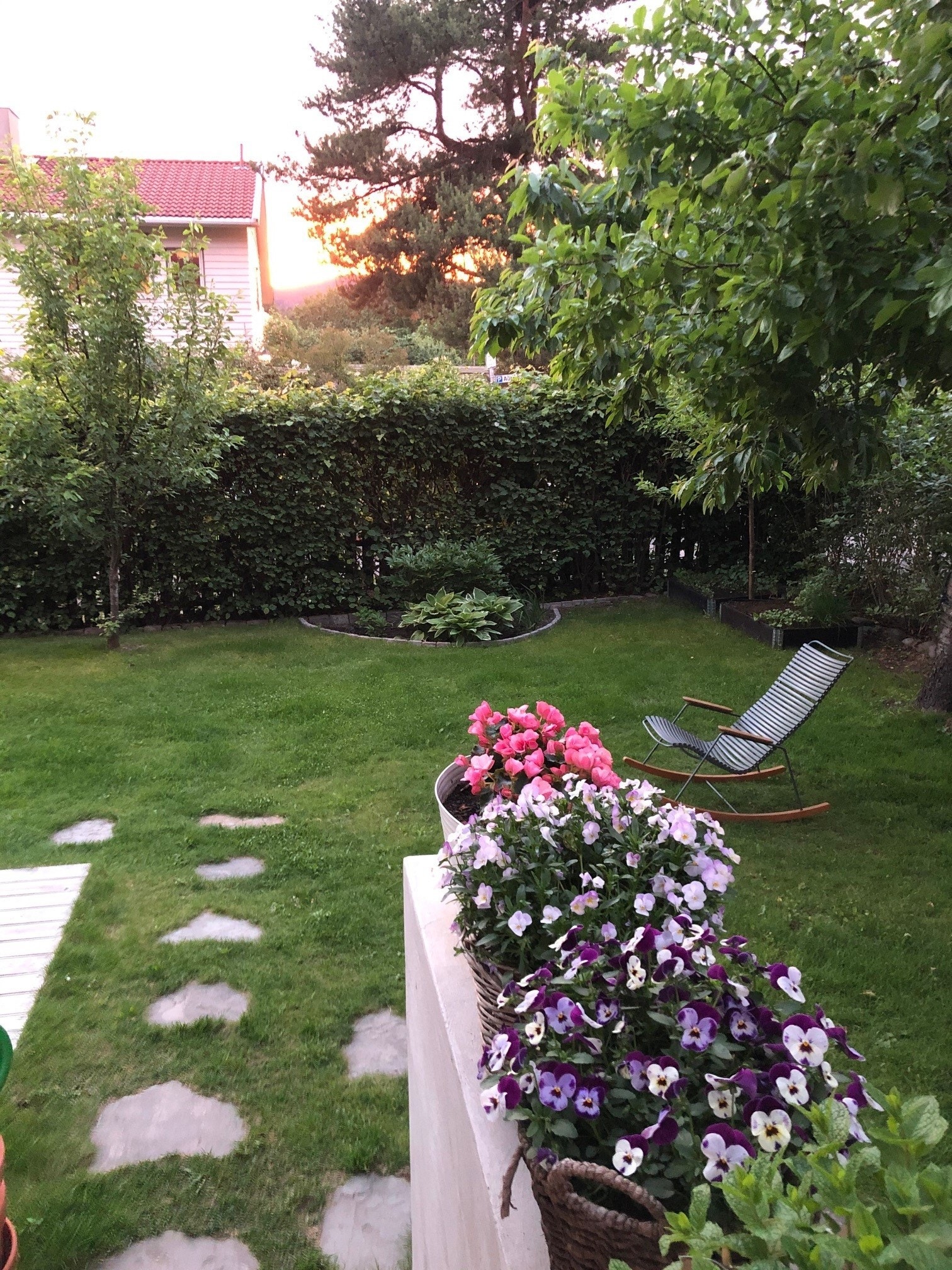Privat sommerbilde av hagen og beplantningen der Galleribilde