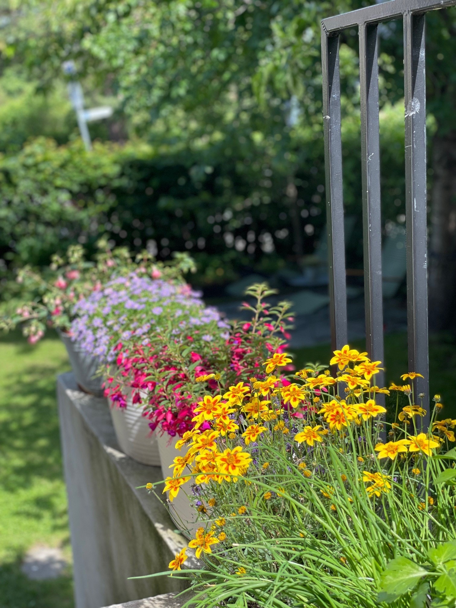 Privat sommerbilde av hagen og beplantningen der Galleribilde