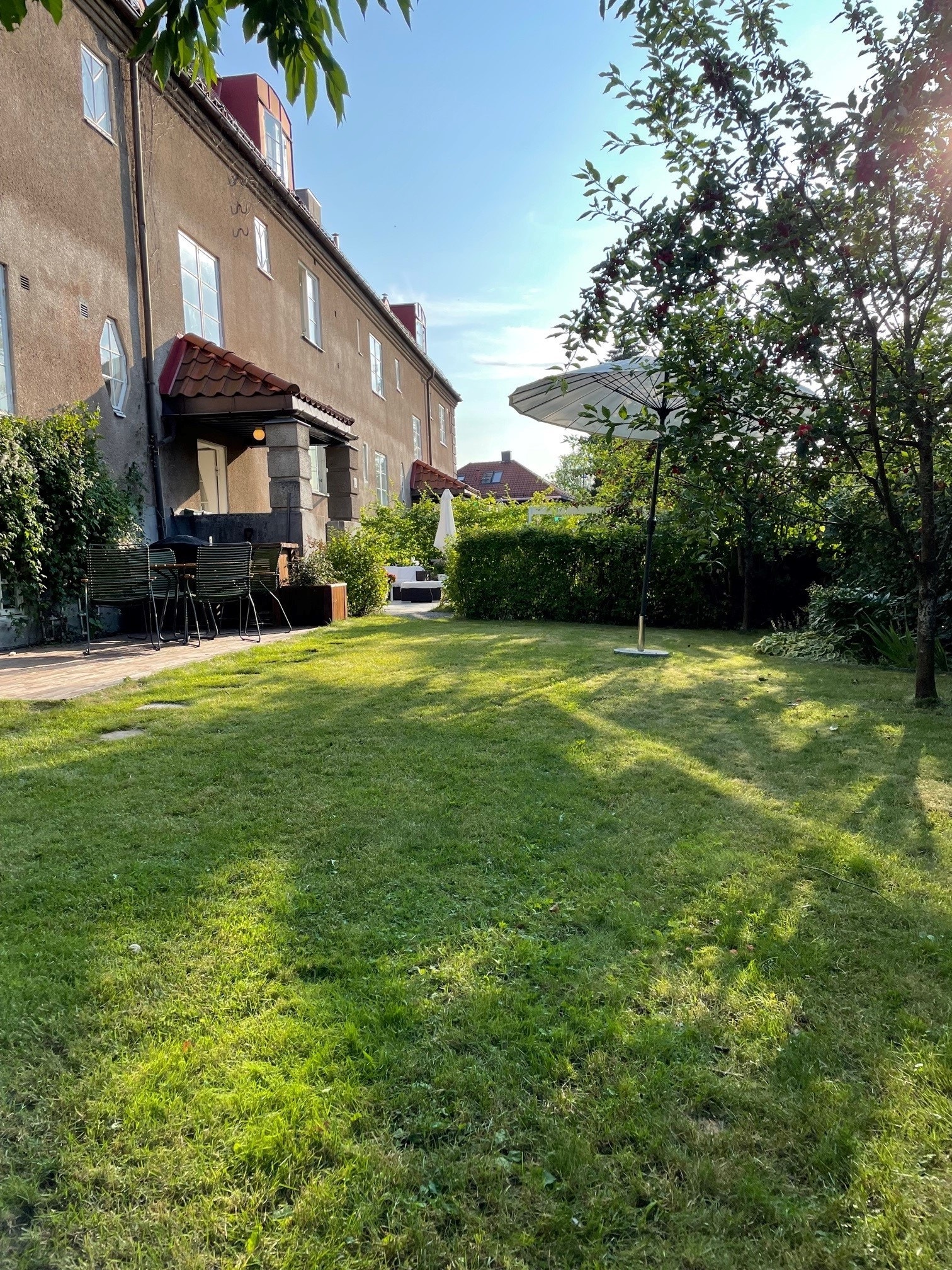 Privat bilde av hagen Galleribilde