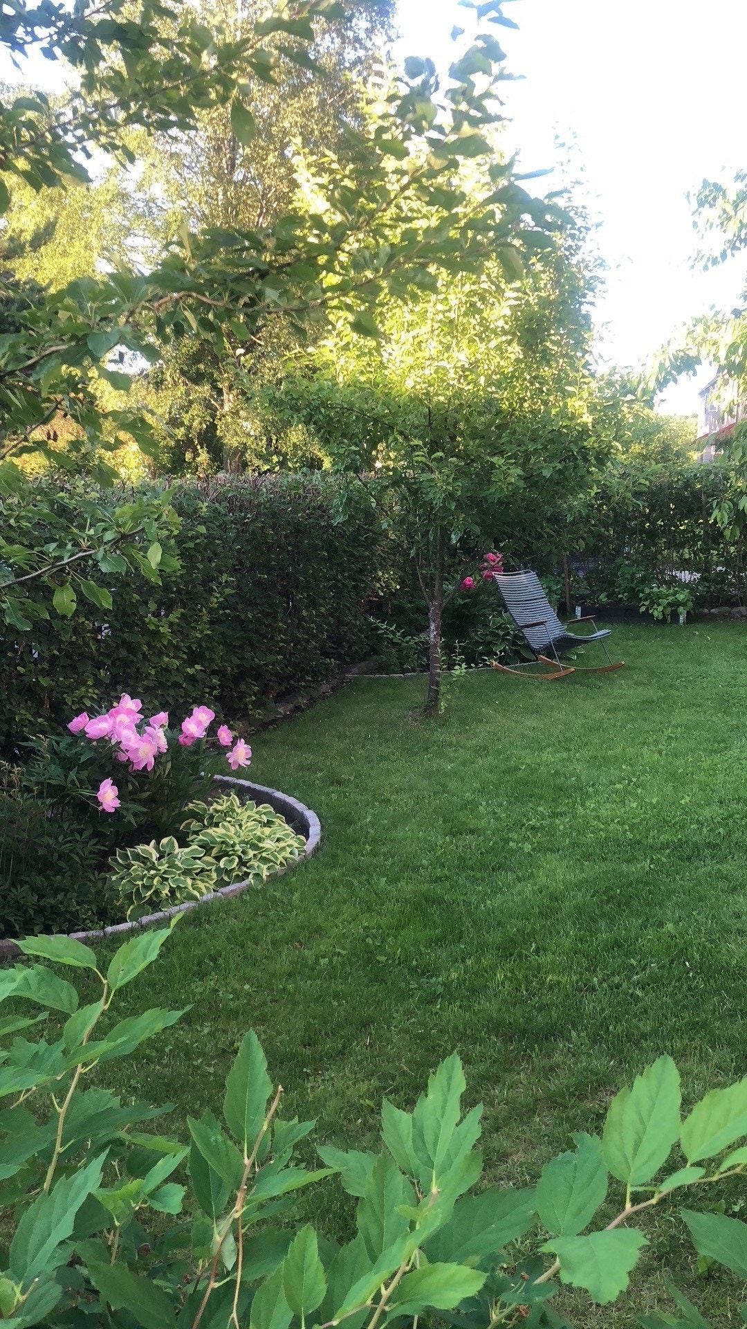Privat sommerbilde av hagen og beplantningen der Galleribilde