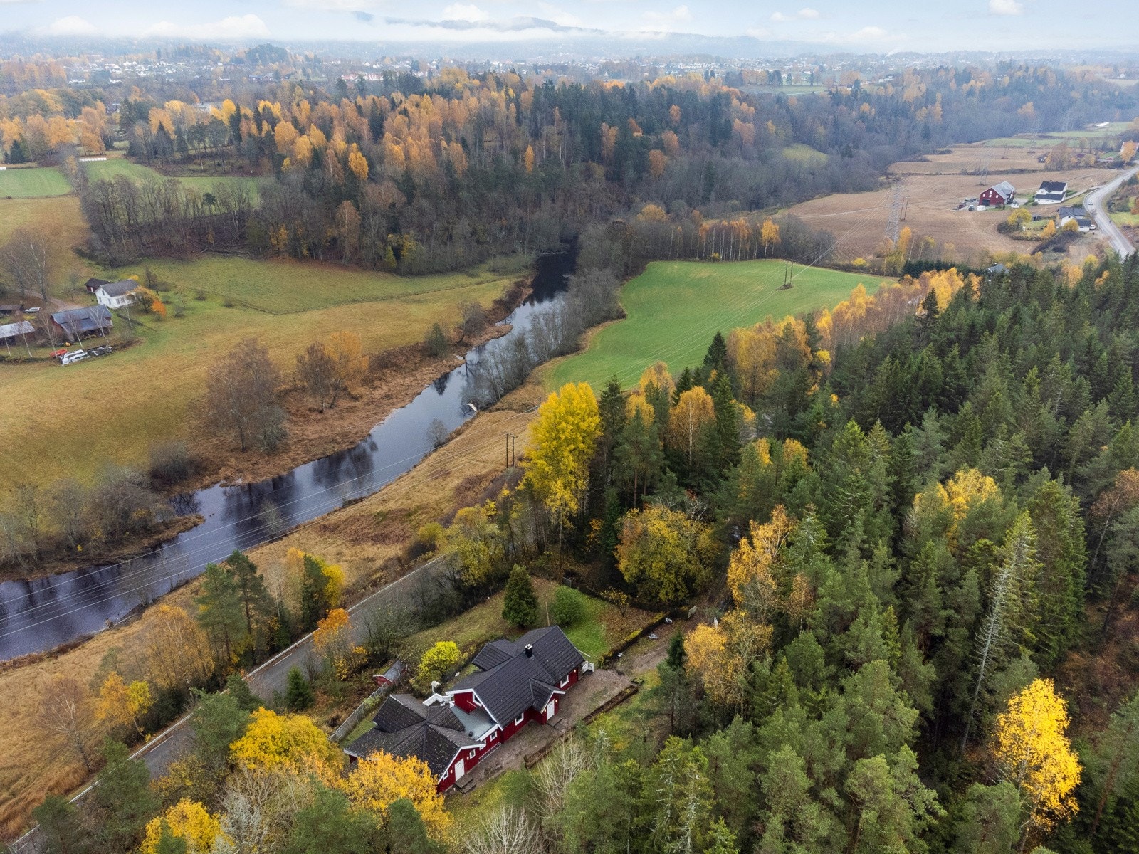 Meget usjenert beliggenhet med skogen rundt Galleribilde