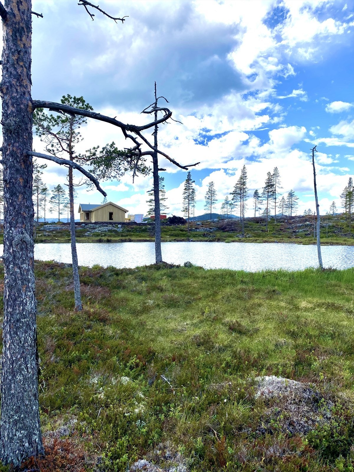 Tjern på Sprenåsen Galleribilde