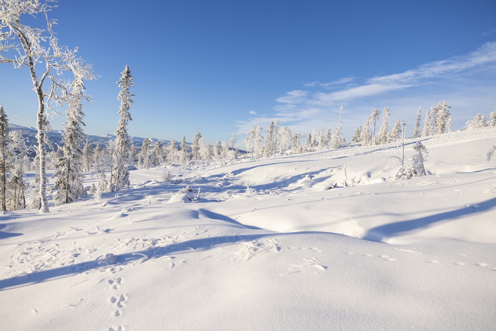 Solskinn.jpg Galleribilde