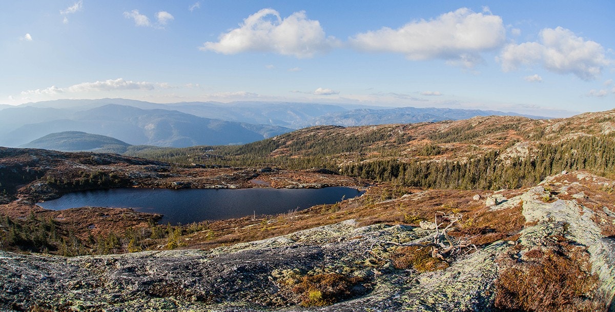 Damtjern mot Turufjell høst Galleribilde