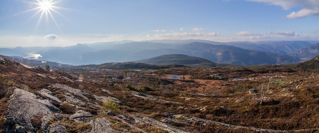 Høst panorama mot hallingdal vest Galleribilde