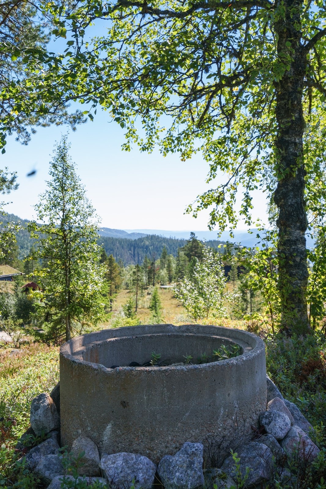 Bålplass Galleribilde