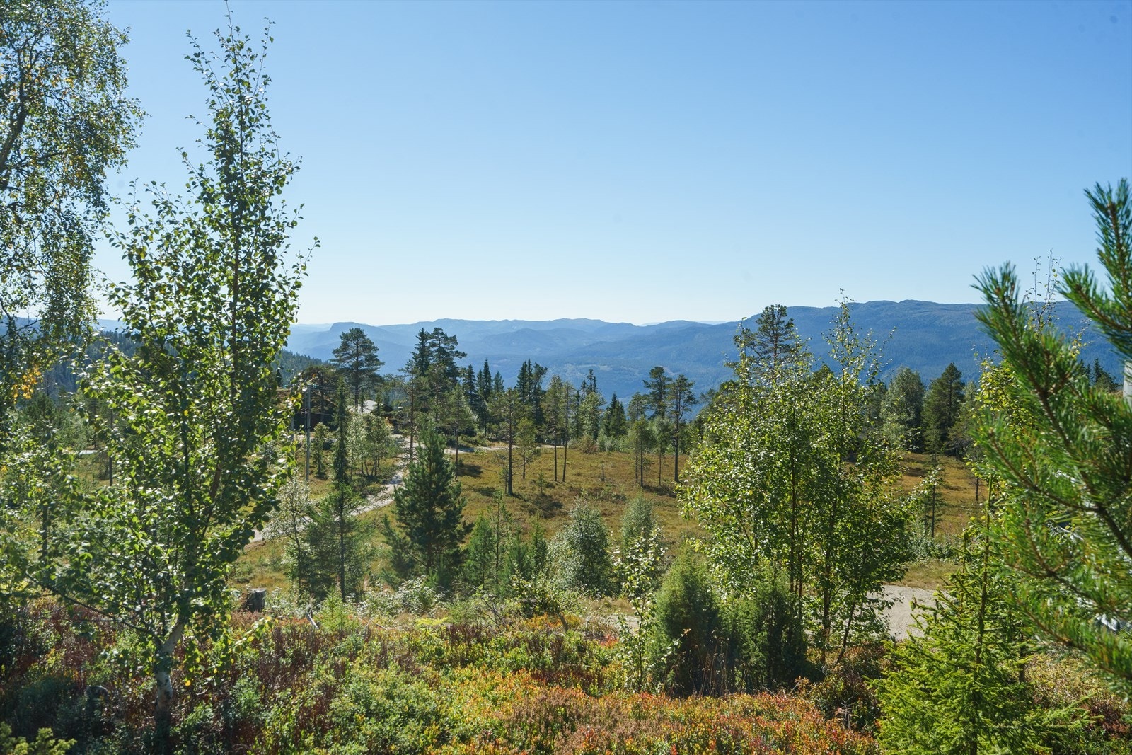 Rolige omgivelser - her kan man slappe godt av Galleribilde