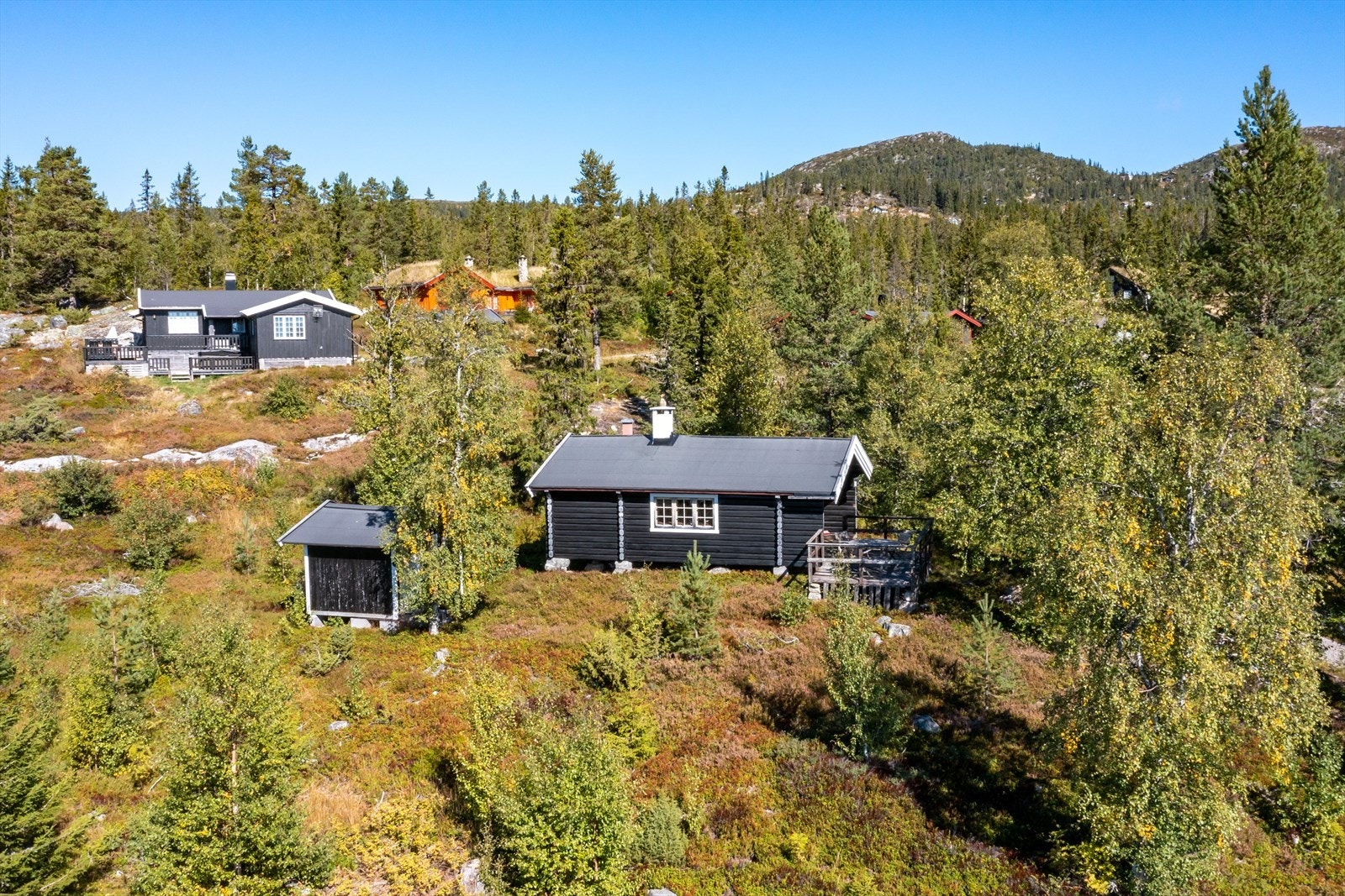 Koselig hytte på Tempelseter med eiet tomt Galleribilde