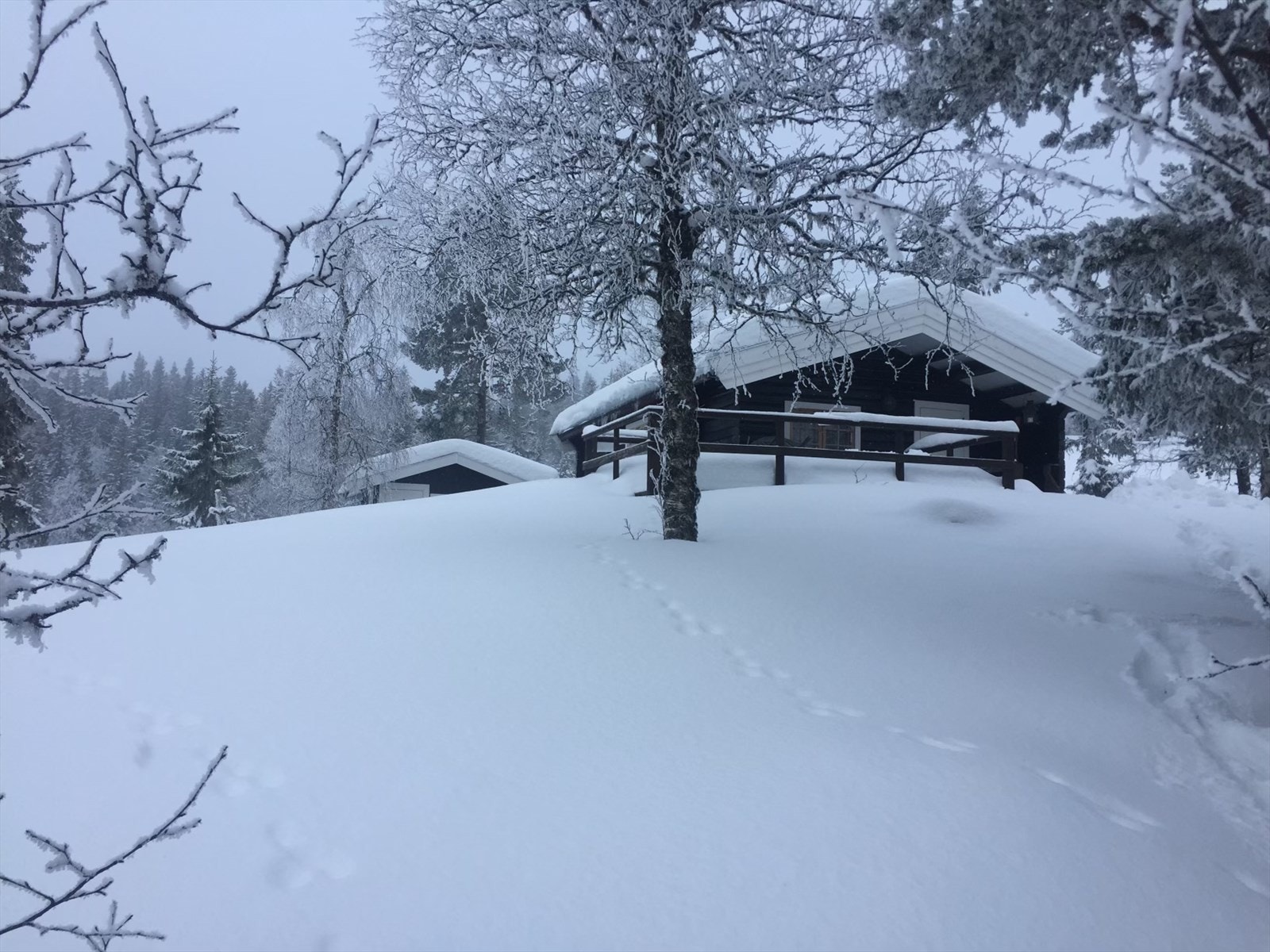 Hytta ligger på en høyde og består av hovedhytte og anneks. I tillegg er det utvendig bod Galleribilde