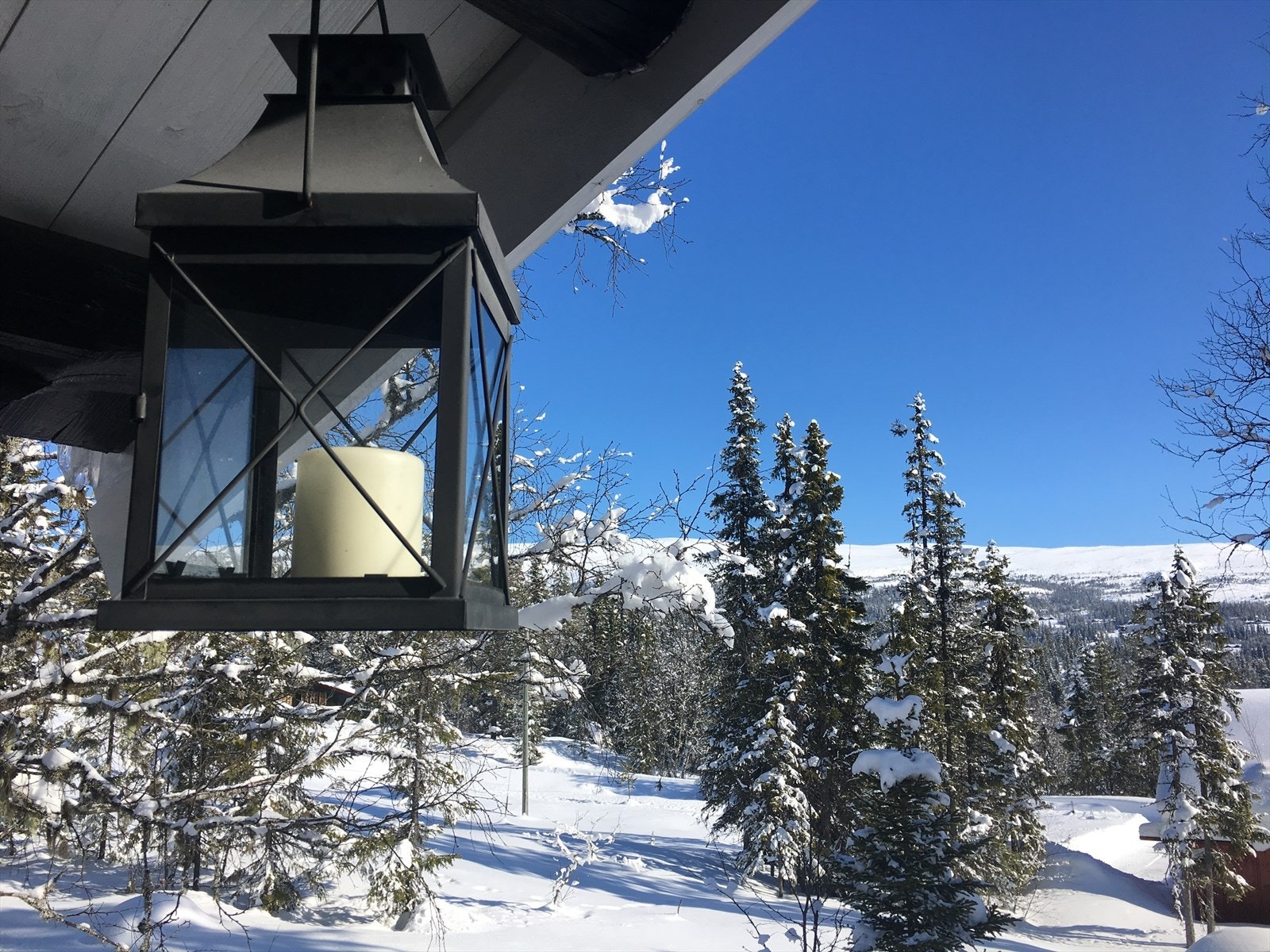 Et mekka for den ski/turglad med uendelig turmuligheter både sommer og vinter Galleribilde