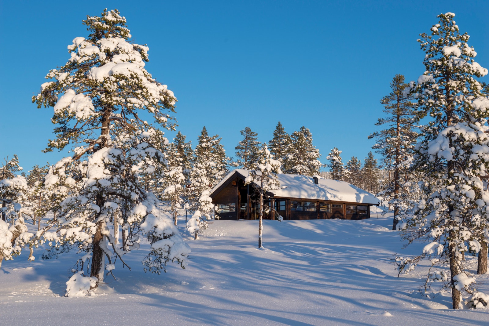 Lignende hytte på tomt 25 Galleribilde