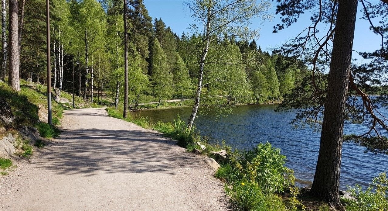 Opplyste turveier rundt Sognsvann er er favoritt i nabolaget Galleribilde