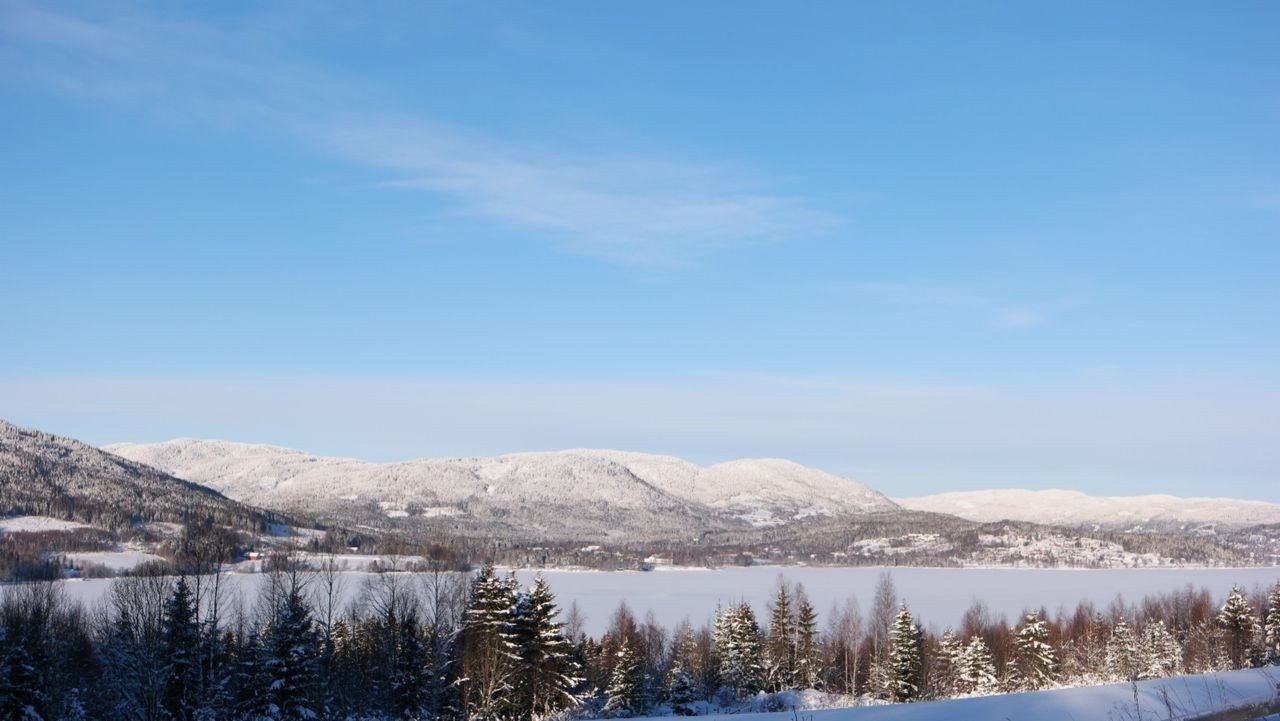 Fra tomtefeltet mot Hurdalssjøen Galleribilde