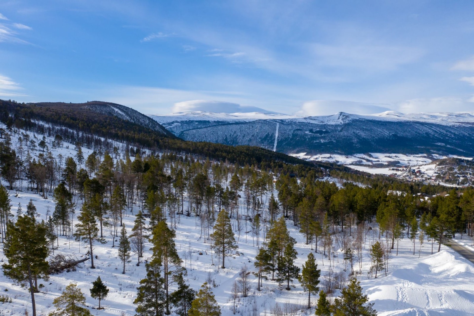 Fra tomteområdet Galleribilde