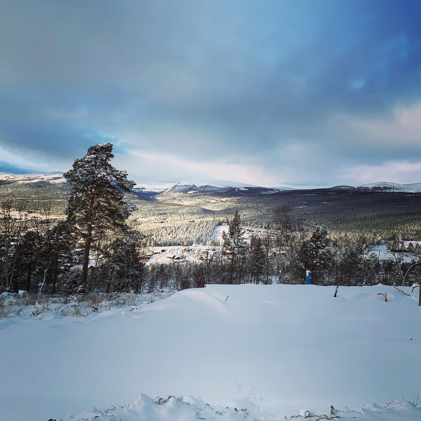 Fra tomteområdet Galleribilde