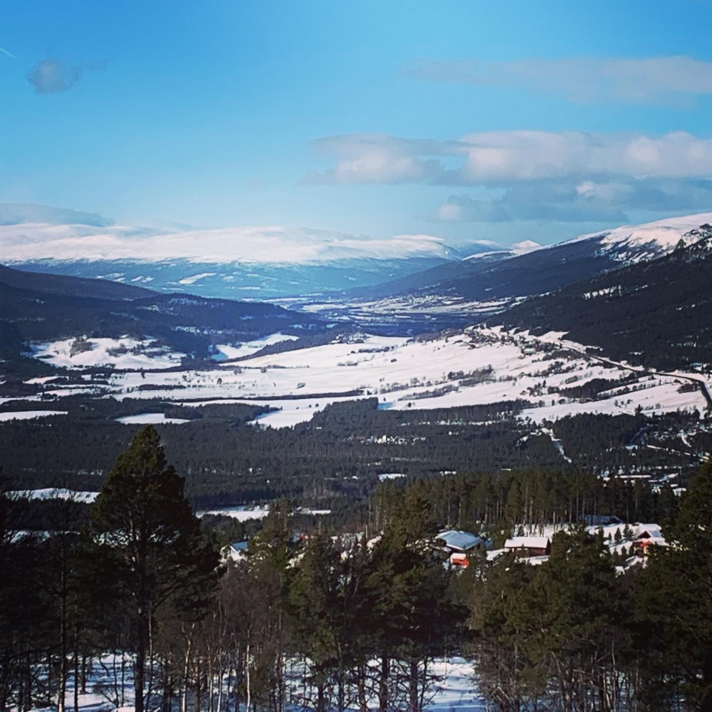 Fra tomteområdet Galleribilde