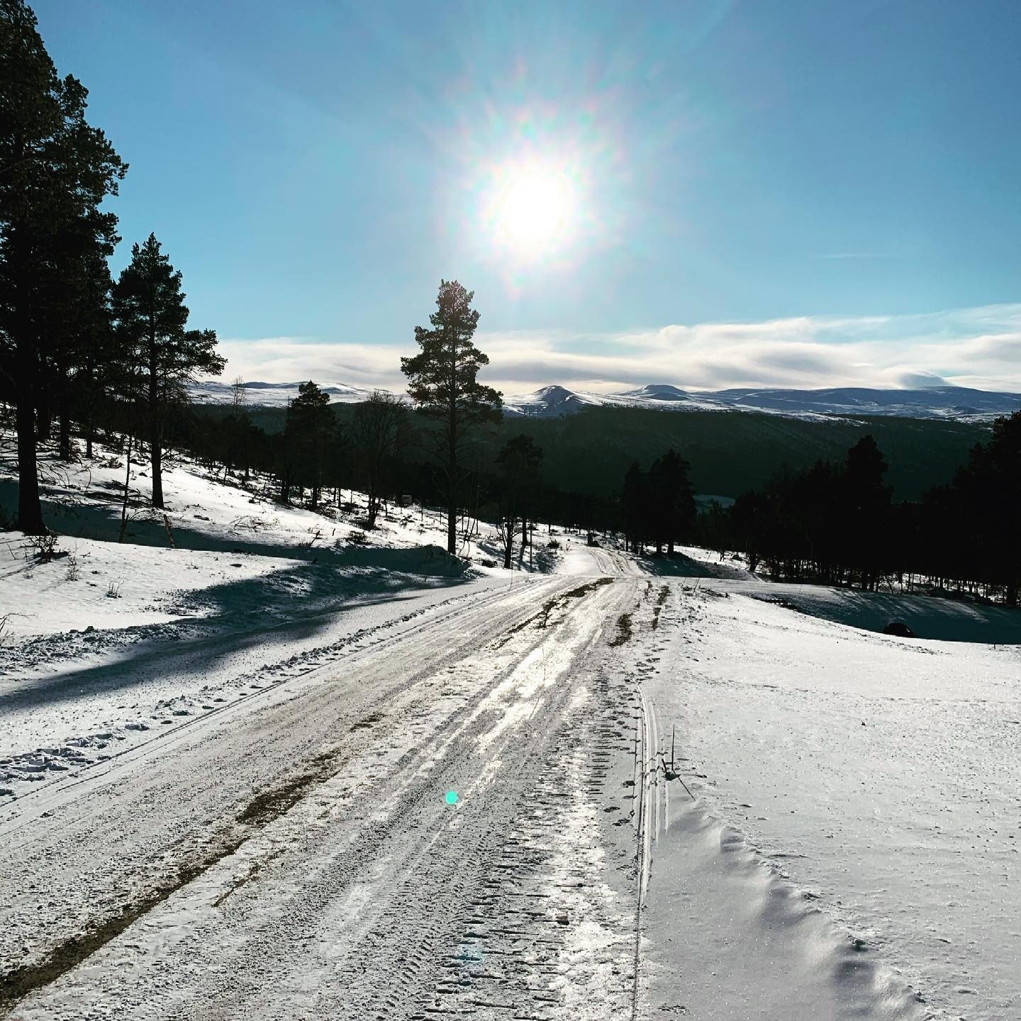 Fra tomteområdet Galleribilde
