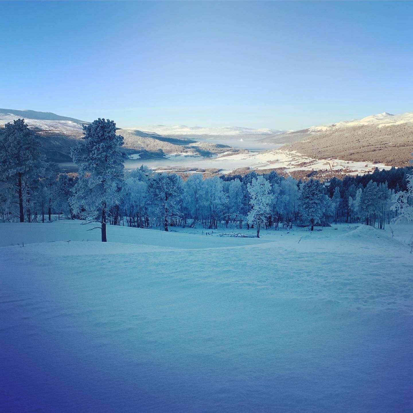 Fra tomteområdet Galleribilde