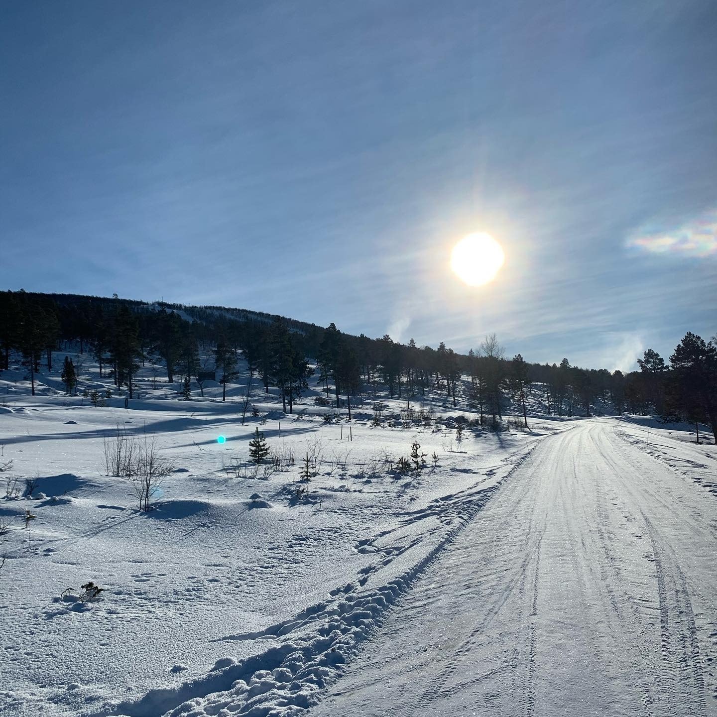 Fra tomteområdet Galleribilde