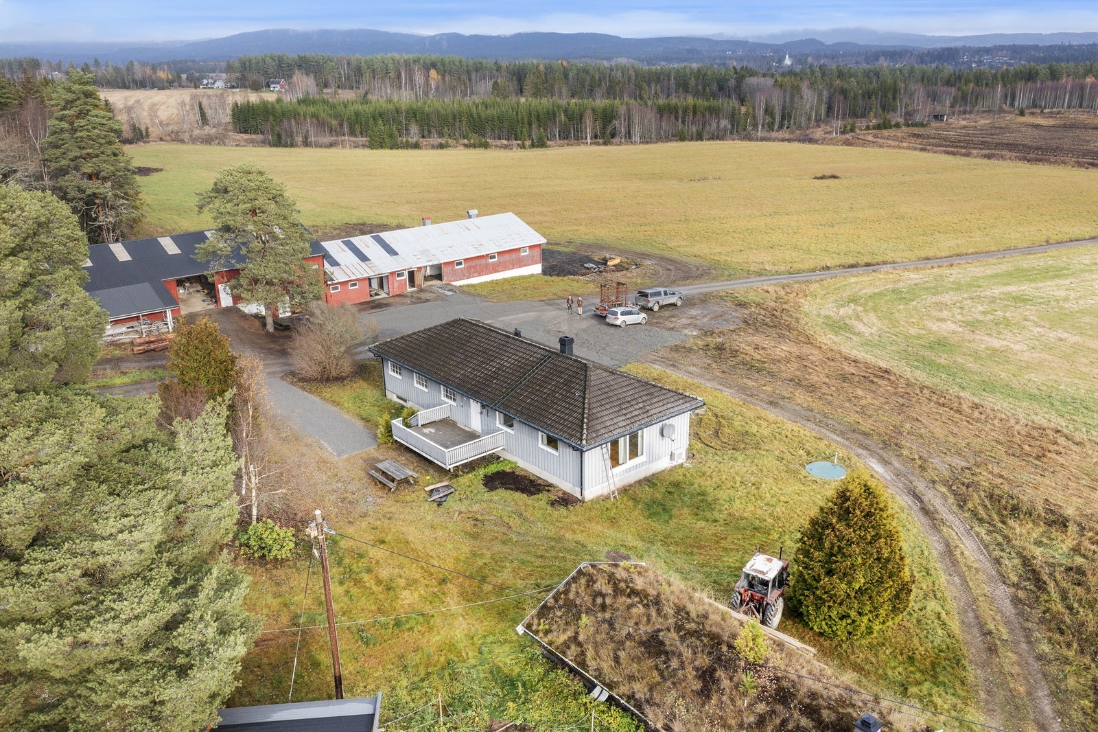 Ifølge Gårdskart har eiendommen 11,8 dekar produktiv skog. Det produktive skogarealet er kantarealer mot dyrket mark. Galleribilde