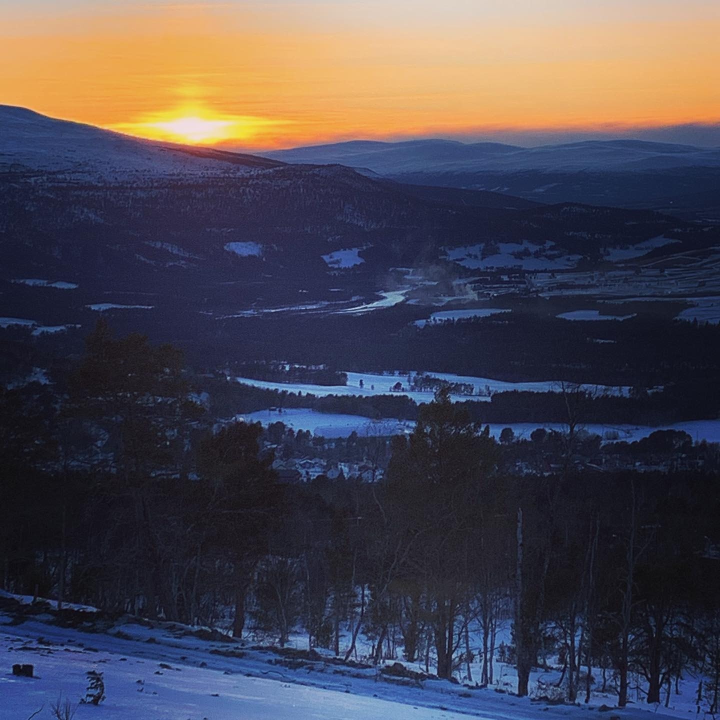 Fra tomteområdet Galleribilde