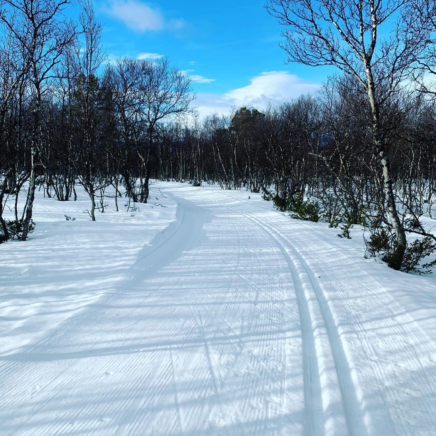 Området har flotte oppkjørte langrennsløyper Galleribilde