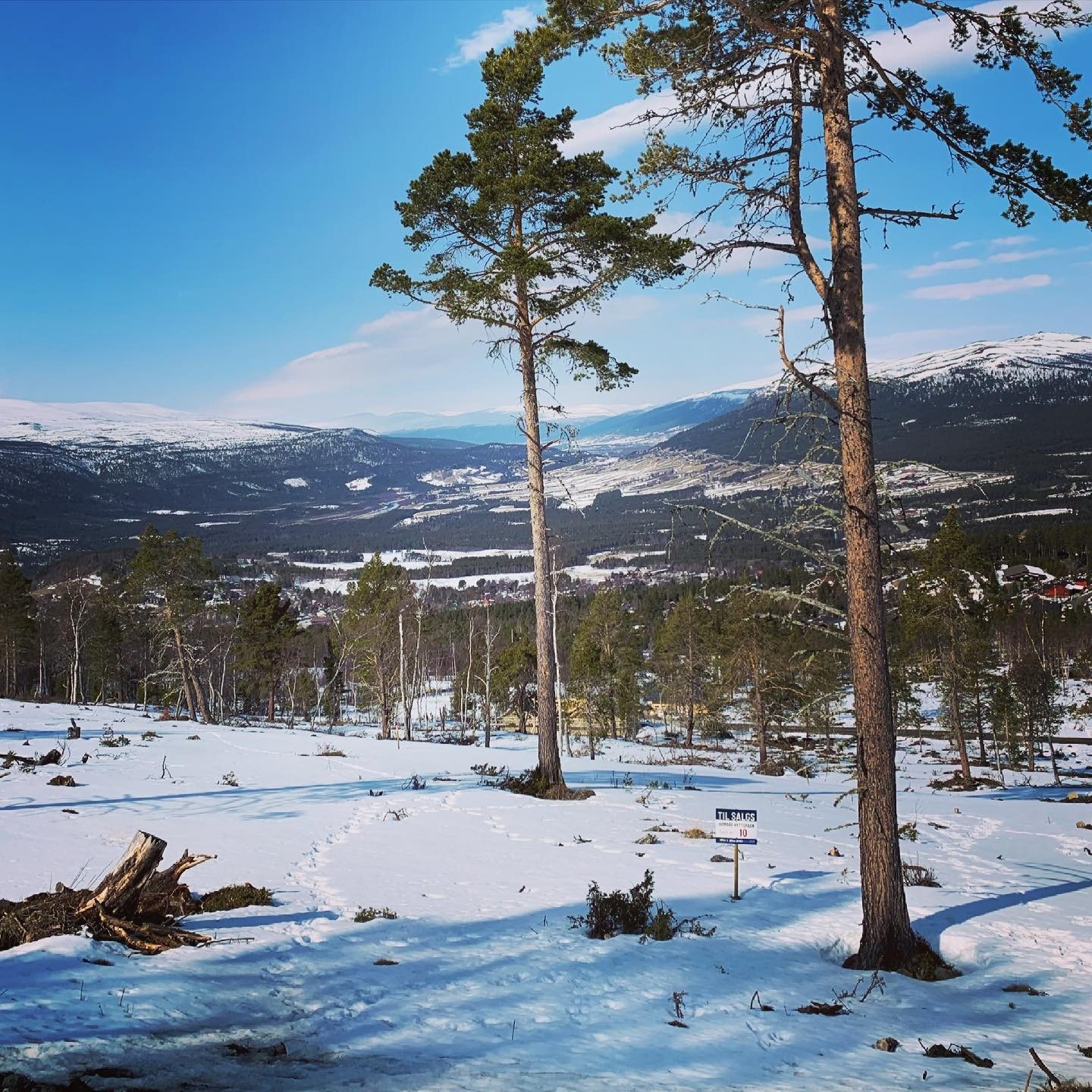 Fra tomteområdet Galleribilde