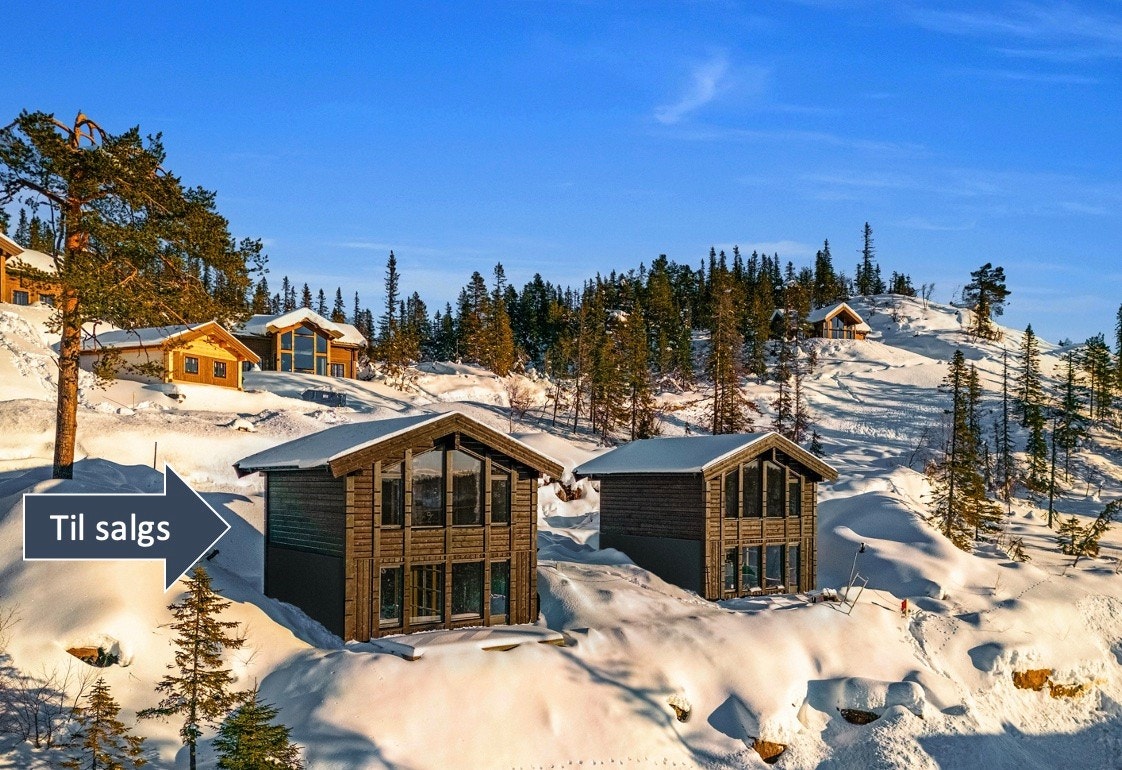 Velkommen til Øvre Fossliseteråsen 3 Galleribilde