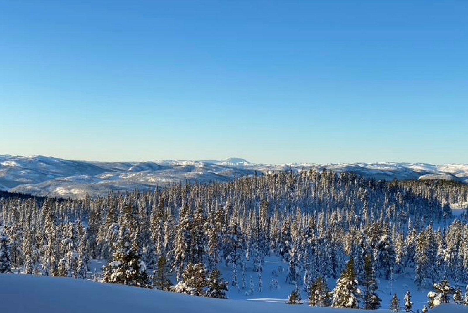 Stemningsbilde fra Fossliseteråsen Galleribilde