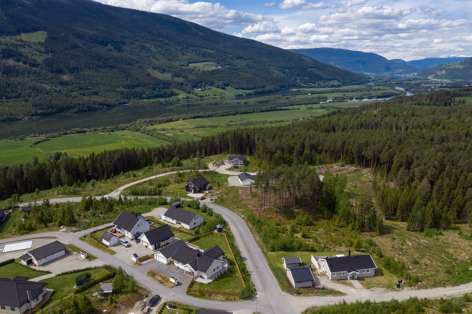 Salmakervegen Galleribilde